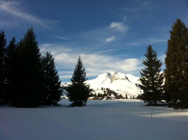 Apartmán Terrasses Du Mont Blanc Le Praz de Lys Exteriér fotografie